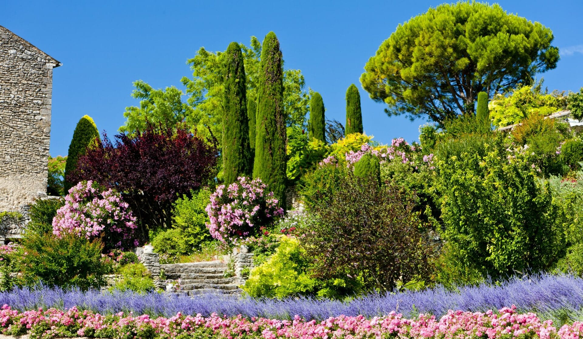 Jardin méditerranéen créé par Au Jardin d'Oc à Montpellier